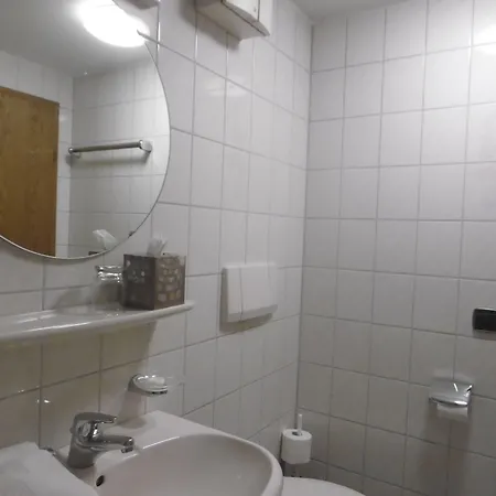 Hotel Metzgerei Zur Linde Kenzingen